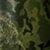 Краска маскировочная аэрозольная для оружия Recoil (Зеленый лес) Зелений ліс