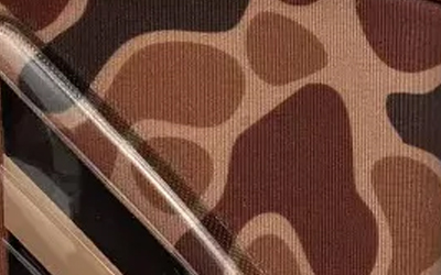 Duck Camo