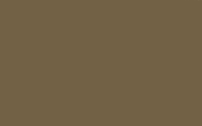 Washed Brown