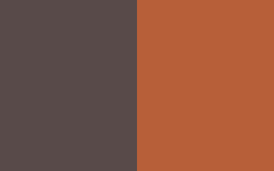 Burnt Sienna