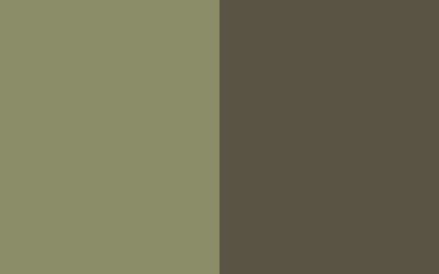 Spruce