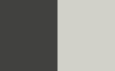 Black/Silver