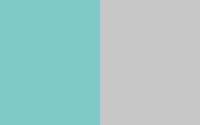 Aqua Silver