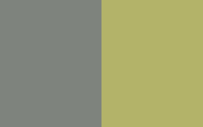 Mossy Slate