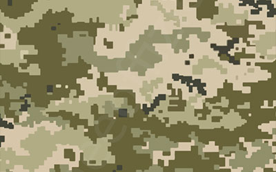 Ukrainian Digital Camo (MM-14)