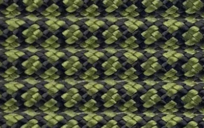 Moss Snake
