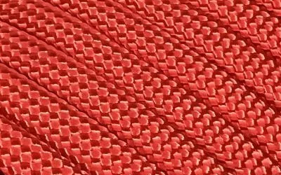 Raspberry