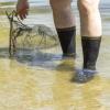 Шкарпетки водонепроникні Dexshell "Waterproof Trekking Socks"
