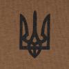 Світшот зимовий "Тризуб Logo", UA281-29911-CB-TRL