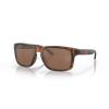 Prizm Tungsten Polarized