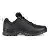 Черевики "LOWA® Zicon GTX® LO TF", 311887C29/0999