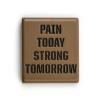 Кліпса для системи MOLLE 5.11 Tactical® "Pain Today MOLLE Clip", 92325-134