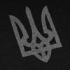 Winter Sweatshirt "Trident Logo", UA281-29911-BK-TRL