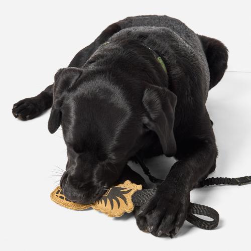 Игрушка для собаки 5.11 Tactical® "Mission Ready™ Grenadier Dog Tug Toy", 5860127-170