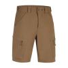 Coyote Brown