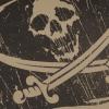 Футболка з малюнком "Jolly Roger", UA281-29891-TN-JR