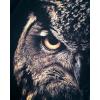 Military style T-shirt "Owlr", UA281-29891-BK-SV