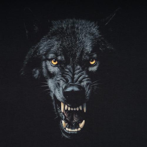 Футболка c рисунком "Оборотень", UA281-29891-BK-WWF