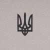 Футболка c рисунком "Трезубец Logo", UA281-29891-IG-TRL