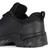 Черевики "LOWA® Zicon GTX® LO TF" 2Q, LO311887C29/0999