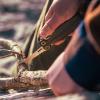 Мультиінструмент Leatherman® "Wave® Alpha Obsidian", 833334