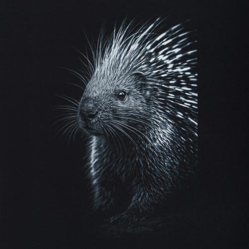 Футболка с рисунком "Porcupine", UA281-29898-BK-PRC