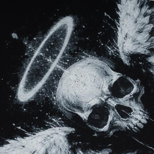 Футболка с рисунком "Angel Skull", UA281-29898-BK-AGS