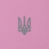 Футболка c рисунком "Трезубец Logo", UA281-29891-LP-TRL