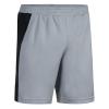 Iron Grey