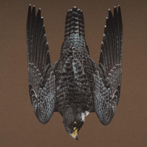 Футболка c рисунком "FALCON", UA281-29891-OD-FLC - Prof1group Футболка c рисунком "FALCON", UA281-29891-OD-FLC