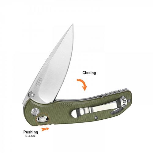 Folding knife Ganzo "G7531"