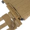 Light Plate Carrier (LPC) Сoyote